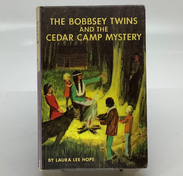 Cedar Camp Mystery- The Bobbsey Twins #14