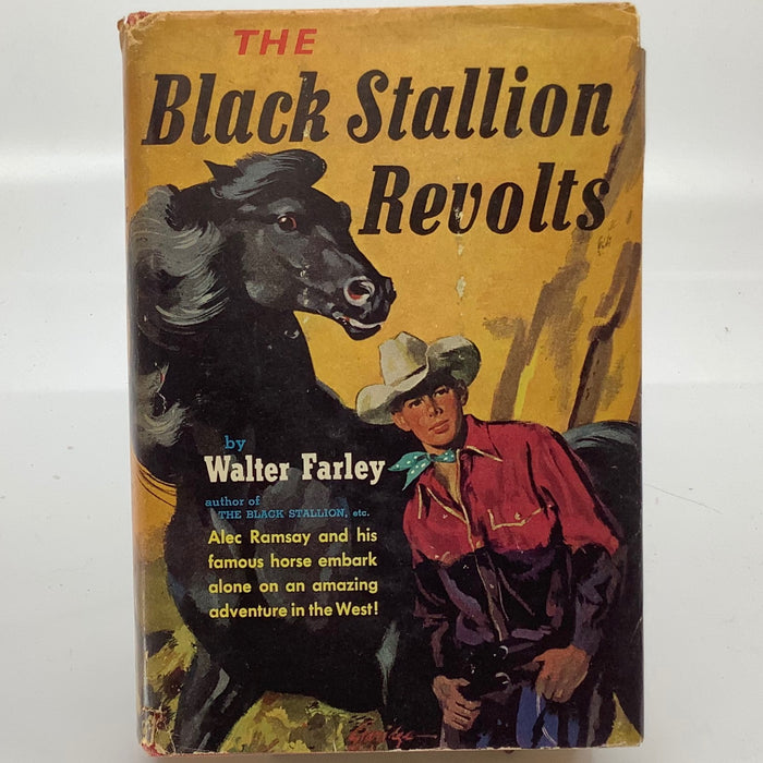 The Black Stallion Revolts