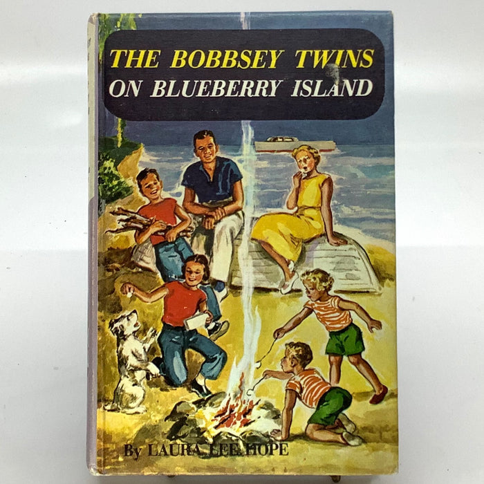 On Blueberry Island- The Bobbsey Twins #10